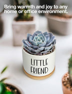 Say Aloe to My Little Friend Small Planter Pot, Funny Succulent Planter Pots Set of 2, Windowsill Decor Indoor, Small Succulent Pots for Women Plant Lovers, 3.5 inch (Plant Not Included)