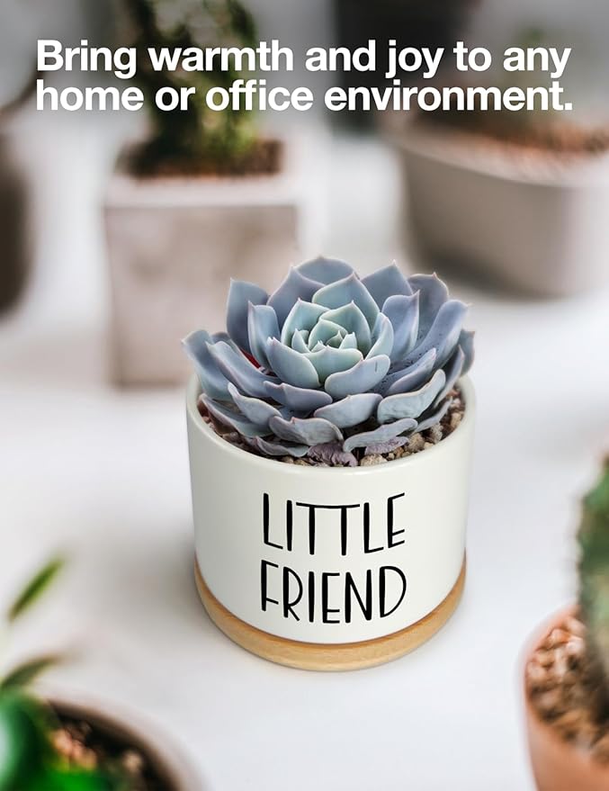 Say Aloe to My Little Friend Small Planter Pot, Funny Succulent Planter Pots Set of 2, Windowsill Decor Indoor, Small Succulent Pots for Women Plant Lovers, 3.5 inch (Plant Not Included)