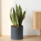 Metal Plant Pot with Drainage Hole,Mid Century Modern 7 inch Round Pot Indoor Outdoor Planters Gift for Decorative Pots of Tabletop Living Room Bedroom Grey