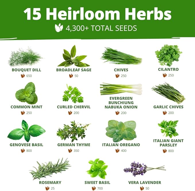 HOME GROWN Herb Seeds for Planting 15-Pack Massive Seed Count 4,300+ Seeds Non-GMO Heirloom | Extra Large | Culinary Herb Kit, Indoor Outdoor & Hydroponic | Grow Your Own Herbs | Gardening Gift