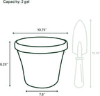 Bloem Terra 10" Diameter Round Living Green Resin Planter Pot with Drainage Holes for Indoor and Outdoor Gardening