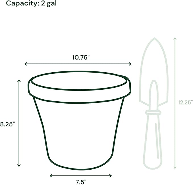 Bloem Terra 10" Diameter Round Charcoal Resin Planter Pot with Drainage Holes for Indoor and Outdoor Gardening