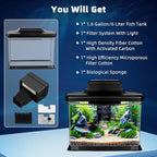DaToo Small Fish Tank Ultra-Clear 1.6 Gallon Aquarium Starter Kits with LED Lighting and Filter System Beginner-Friendly Mini Betta Aquarium for Small Fish Shrimp Desktop Room Decoration