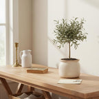 Ceramic Planter & Vase for Wabi Sabi Decor, 6.29 Inch Nordic Minimalist Flower Pot with Drainage Hole for Indoor Plants, Boho Tabletop Bookshelf & Living Room Decoration, Unique Gift (Antique Ivory)