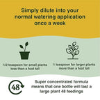 Farmer’s Secret Money Tree Liquid Plant Food Fertilizer (8oz) - Super Concentrated - Strengthen Roots and Encourage Growth in all Varieties of Money Trees