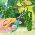 Kikumi Garden Shears with Long Handle, Curved Blade, Grape Scissors, Stainless Steel Bonsai Scissors, Scissors for Picking Fruit Branches