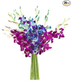KaBloom - Bouquet of 10 Blue and 10 Purple Orchid - Fresh Flowers for Birthday, Valentine's & Mother's Day