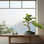 3ft（36in） Artificial Bonsai Tree Juniper Faux Plants Indoor Big Fake Plants Decor with Ceramic Pots for Home Table Office Desk Shelf Bedroom Living Room Decorations (Green)