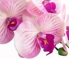 Htmeing 38 Inch Artificial Phalaenopsis Flowers Branches Real Touch (Not Silk) Orchids Flowers for Home Office Wedding Decoration,Pack of 2 (Pink Purple)