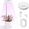 Self-Watering Planter with Grow Light — Cute Desk Plant Pot for Office, Bedroom & Window — No Green Thumb Needed, 2-in-1 Wall + Desktop, USB Powered (5W LED, White)