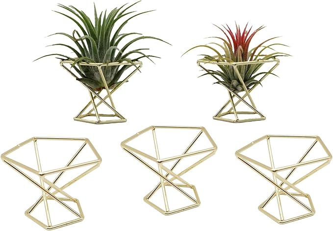 Geometric Air Plant Holder Airplants Rack Metal Plants Stand Planter Shelves Himmeli Living Decor Tillandsia Pot Containers (Gold 5 pcs)