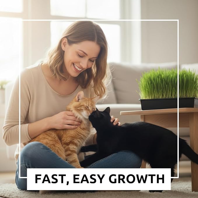 Cat Grass Seeds for Growing | 4 Way Blend, Rye, Wheat, Oats and Barley | Made in USA, Ships from Iowa. (25 Pounds)