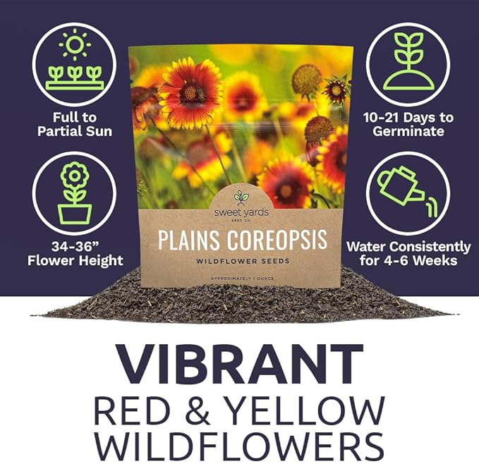 Plains Coreopsis Seeds – Native Flowers – Extra Large Packet – Over 100,000 Open Pollinated Non-GMO Wildflower Seeds – Coreopsis tinctorial