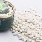 TOYPOPOR Mini White Rocks Stone Decorative Pebbles Vase Fillers Succulents Cactus Bonsai DIY Plant Rock Garden Outdoor Indoor Gravel for Aquarium, Terrarium, Fairy Gardening, Top Dressing 6lbs