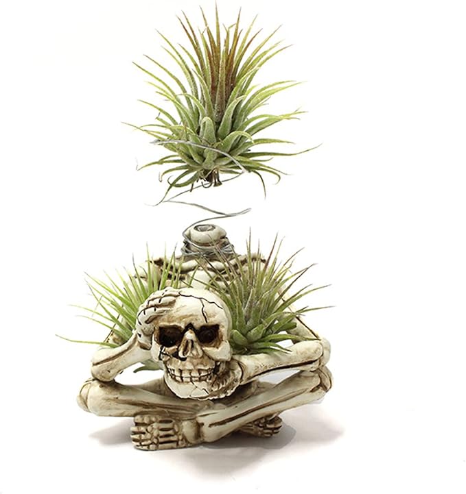 Resin Skeleton Air Plant Holders,Gothic Skeleton Planter,Halloween Plants Pot,Skull Table Top Display Planters for Air Plants and Other Mini Plants,Small Tillandsia Airplants Container