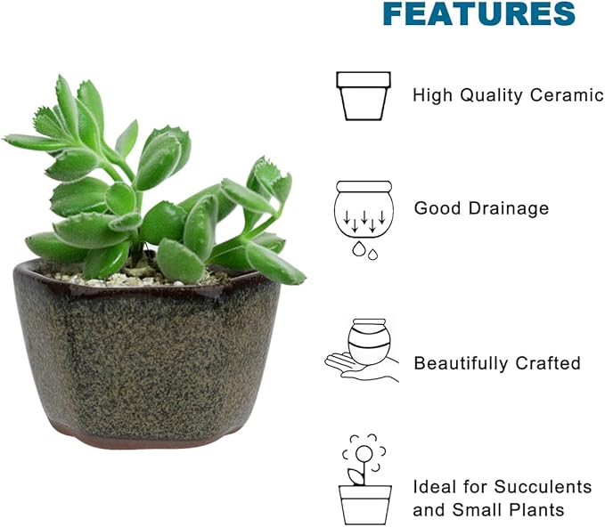 Bonsai Planter 20 pc Mini Glazed Pots Succulent 1.6 Inch