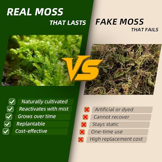Real Live Moss for Terrariums,Jumping Spider, Reptile Habitats & Mini Landscapes – Naturally Cultivated Live Moss, Revives in 5 Minutes with Water Mist, Grows & Multiplies (3 Sheets, 3.5”x7”)