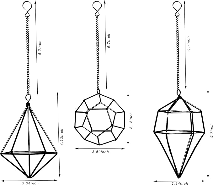 Iron Air Plant Holder, 6PCS Geometric Tillandsia Stand - Wall Mounted Hanging Planter for Home Office Decor, Black Metal Himmeli Craft for Air Ferns, Small Airplants Display