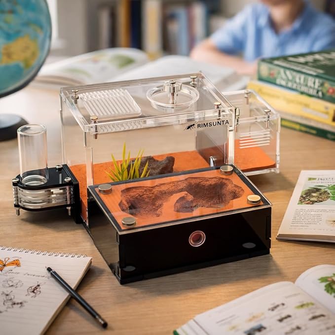 Formicarium - Ant Farm Habitat for Live Ants & Queen, Adult Educational Kit for Ant Behavior Study and Learning