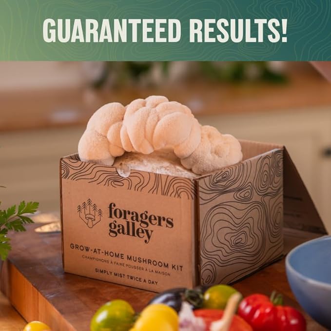 Lion's Mane Mushroom Growing Kit - 6lbs - Mushroom Grow Kit, Indoor Growing, Easy to Use, Grow Lions Mane at Home