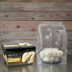 Myco Labs Lion's Mane Mushroom Grow Kit | Large 5.5 LB Fruiting Block | with Custom Humidity Tent & Filters | Grow Anywhere