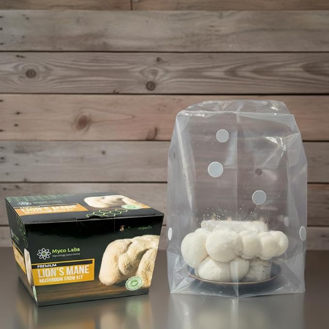 Myco Labs Lion's Mane Mushroom Grow Kit | Large 5.5 LB Fruiting Block | with Custom Humidity Tent & Filters | Grow Anywhere