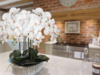 Orchid White 31.5" Real Touch Signal Stem Phalaenopsis Orchid Spray with 9 Large Flowers for Home Arrangement, Artificial Flowers for Home Decor, Office House Decor- White Orchids Flowers 2 Pcs