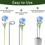 FEED GARDEN 24 Inch 12 Pack Plant Support Stakes, Metal Garden Flower Stakes and Supports for Outdoor Plants, Plant Stem Support with 24 Twist Ties for Amaryllis Lily Rose Peony Tomatoes Gladiolus