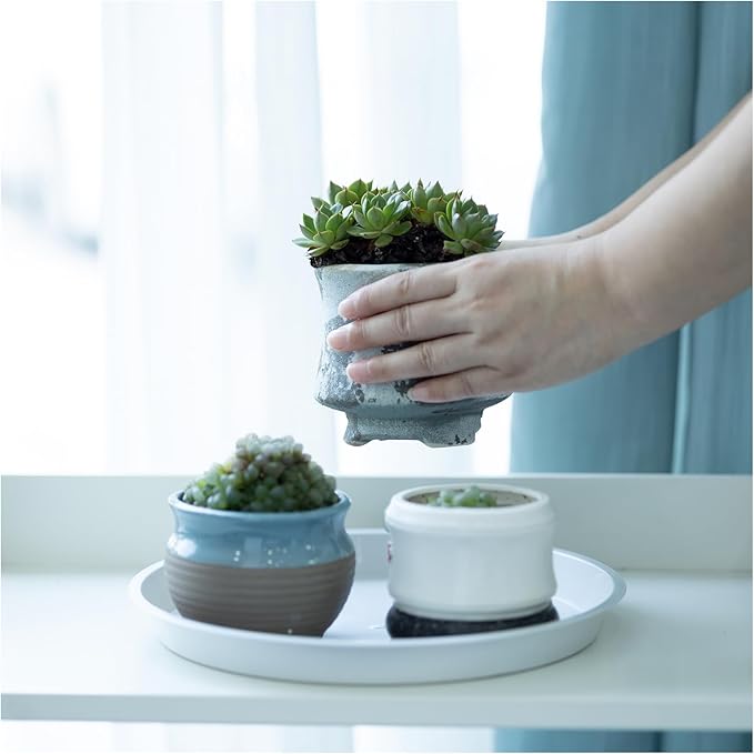 4pcs White Plastic Plant Saucers (10 inch) - Heavy Duty Indoor Plant Trays for Pots with Water Drainage, Drip Catcher & Decor (Set of 4 Round Saucers)