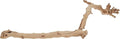 Exo Terra Forest Branch, Large