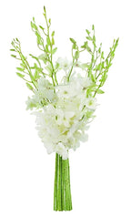 KaBloom Prime Delivery : Bouquet of White Orchid for Sympathy, Wedding, Anniversary, Birthday, Congratulations, Get Well and Thank you
