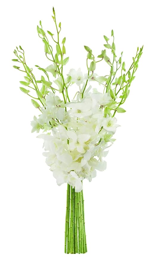 KaBloom Prime Delivery : Bouquet of White Orchid for Sympathy, Wedding, Anniversary, Birthday, Congratulations, Get Well and Thank you