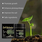 Soil Activators, Organic Soil Activator & Plant Fertilizer, Supports Root Development & Nutrient Absorption for Garden, Lawn, Indoor & Outdoor Plants 200g