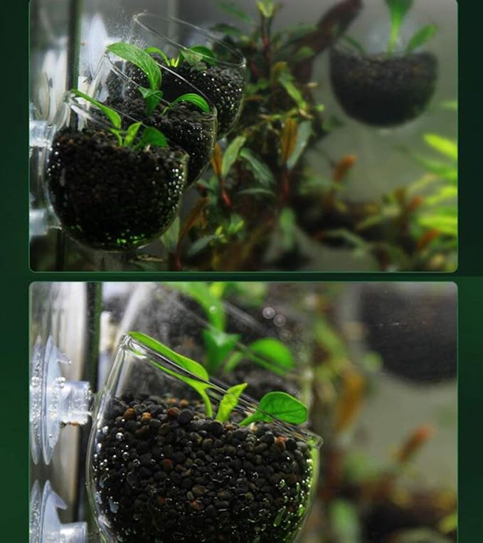 Tfwadmx Aquarium Plant Holder Pot Aquarium Decor Crystal Glass Aquatic Plant Cup with Suction Cups for Fish Tank Aquascape Decoration (4 Pack)