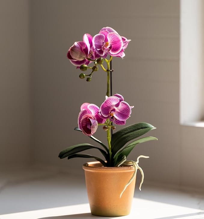 Avoeco Artificial Real Touch Orchid Plant – 15" Faux Phalaenopsis in Pot – Highly Realistic Silk Orchid Flower & Leaf Texture for Home, Office,Shop & Wedding Décor (Fuchsia, 15“)