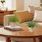 2 Pack Artificial Fern Potted Plant, Small Fake Plants in Pot, Faux Fern Plant for Home Office Farmhouse Living Room Bathroom Kitchen Tabletop Desk Shelf Decoration