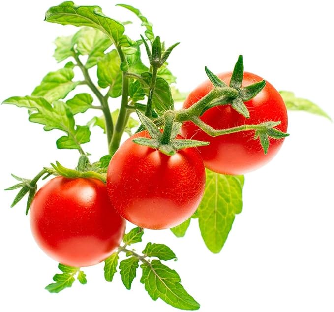 Click and Grow Smart Garden Mini Tomato Plant Pods, 9-Pack