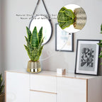 Oairse Artificial Potted Plant, Fake Snake Plant in Gold Pot 16.9 inch Faux Sansevieria Trifasciata Artificial Plants Indoor with Pot for Home Office Living Room Indoor Outdoor Decor