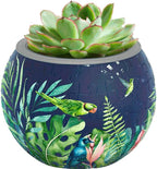 PieceRelax 3D Puzzle Planter 80 Pieces - Flower Pot - Bird of Paradise, for Mom, Home Decor Flower Pots for Indoor Cactus, Succulents Pots [K1106]