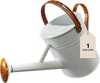 Watering Can for Outdoor&Indoor Plants，1 Gallon Metal Watering Can with with Removable Spout，Galvanized Steel Garden Flower Water Can Plant Watering Pot with 2 Handles，White