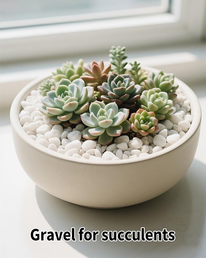 6LB White Succulent & Cactus Gravel Pebbles - 1/4-3/8 Inch Natural Polished River Rocks, Decorative Stones for Plants, Terrariums, Vases, Aquariums & Outdoor Gardening