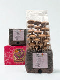 All-in-One Mushroom Grow Bag, Complete Cultivation Kit, 3lb (2 Bags (Starter Bundle))