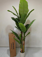 6ft Artificial Banana Tree Extra Tall Fake Plants Indoor for Living Room Large Faux Tree High End Realistic Floor Plant Big Silk Tree for Home Office Pet Friendly Large Indoor Plant Tropical Decor