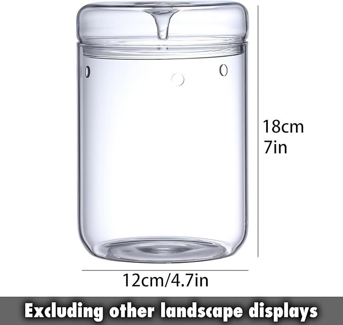 SARUFO Small Glass Plant Terrarium 4.7"X7" Inches Succulent Air Planter Fern Moss Micro-Landscape Vase for Home Garden Office Tabletop Decoration Container with Lid Indoor Wardian Copyright Patent