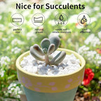 FANTIAN 10LB Natural Succulent Gravel Decorative White Rocks - 3/8'' Small White Pebbles for Plants, Decorative Stones, Succulent Rocks Pebbles for Planter, Aquarium Pea Gravel for Landscaping