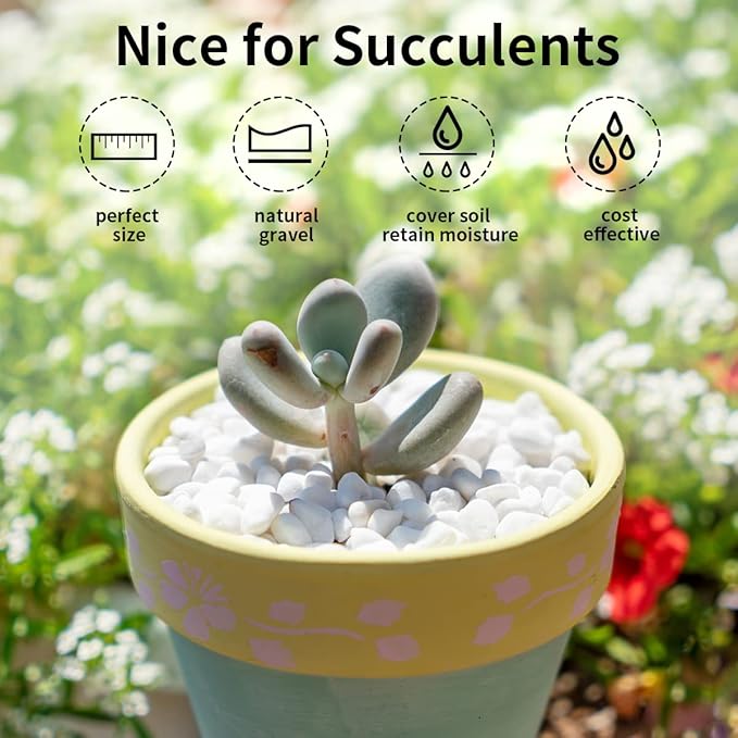 FANTIAN 10LB Natural Succulent Gravel Decorative White Rocks - 3/8'' Small White Pebbles for Plants, Decorative Stones, Succulent Rocks Pebbles for Planter, Aquarium Pea Gravel for Landscaping