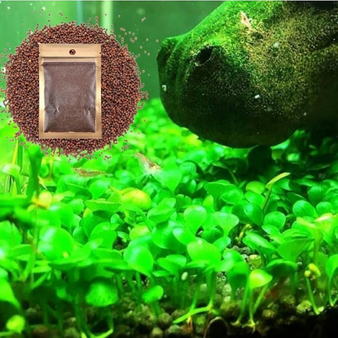 Freshwater Aquarium Decor, Easy Growing Dwarf Carpet for Fish Tank/Terrarium, Natural Aquatic Plant Growth Material – 1 Pack (Big Leaf)