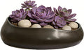 9.5'' Black Ceramic Indoor Plant Pot,Low Bowl Indoor Plant Pot with Decorative Tray, Contemporary Decorative Flower Pot for Home, Kitchen, Office & Event Décor