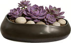 9.5'' Black Ceramic Indoor Plant Pot,Low Bowl Indoor Plant Pot with Decorative Tray, Contemporary Decorative Flower Pot for Home, Kitchen, Office & Event Décor