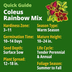 HOME GROWN Coleus Rainbow Seeds – 400 Count 0.04 oz Flower Seed, Coleus scutellarioides 'Rainbow', Indoor Plant Seeds for Containers, Shade Gardens, Decorative Multicolor Foliage